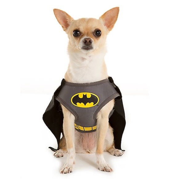 DC Comics Batman Pet Costume (M) - NWT 🐶🐾 - Picture 4 of 11